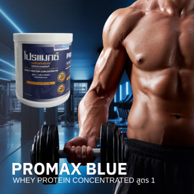 Promax Blue